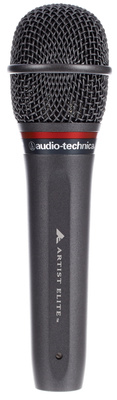 Audio-Technica AE 6100