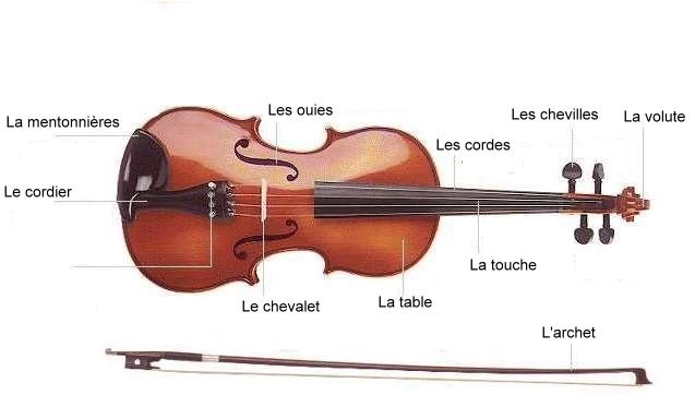Les parties composant un violon