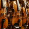 Types de violons