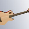 Washburn Festival EACT42S