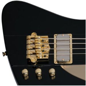 Basse Epiphone Rex Brown Thunderbird - Micro