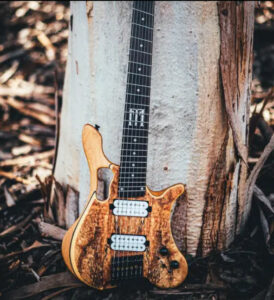 Basse Esphera - crédit photo FM Guitars